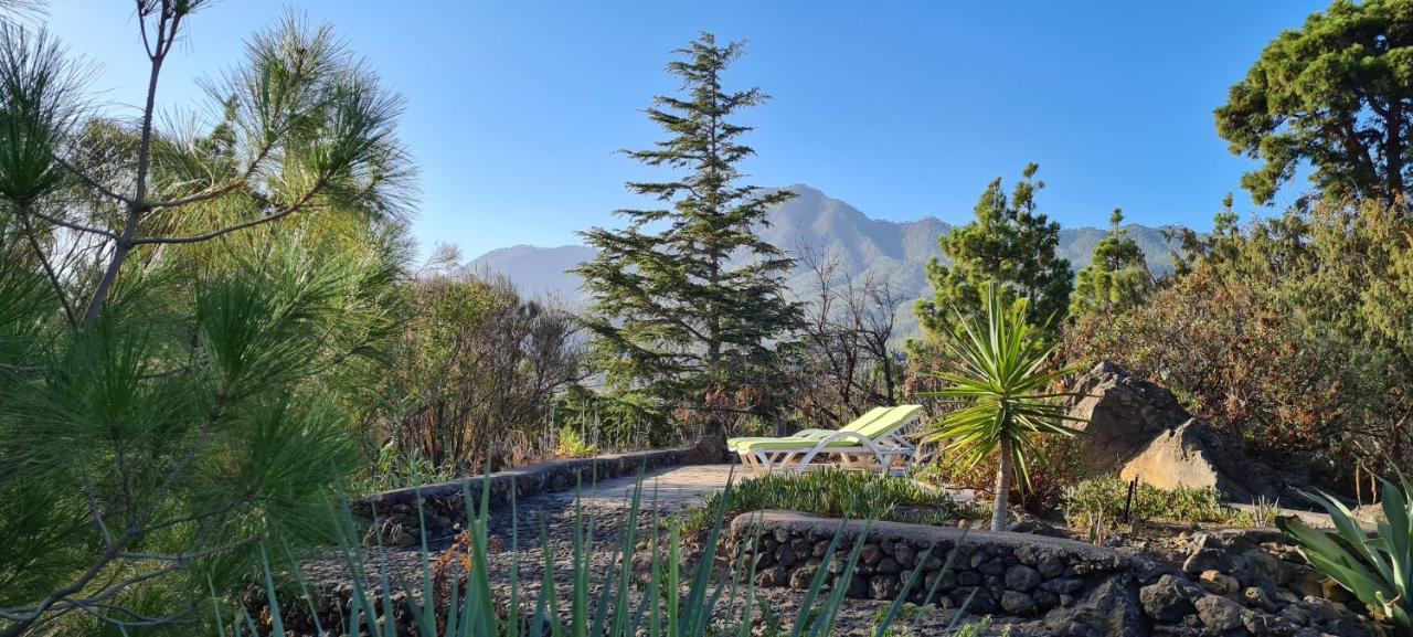 埃尔帕索Casa Piedras Blancas With Private Garden别墅 外观 照片